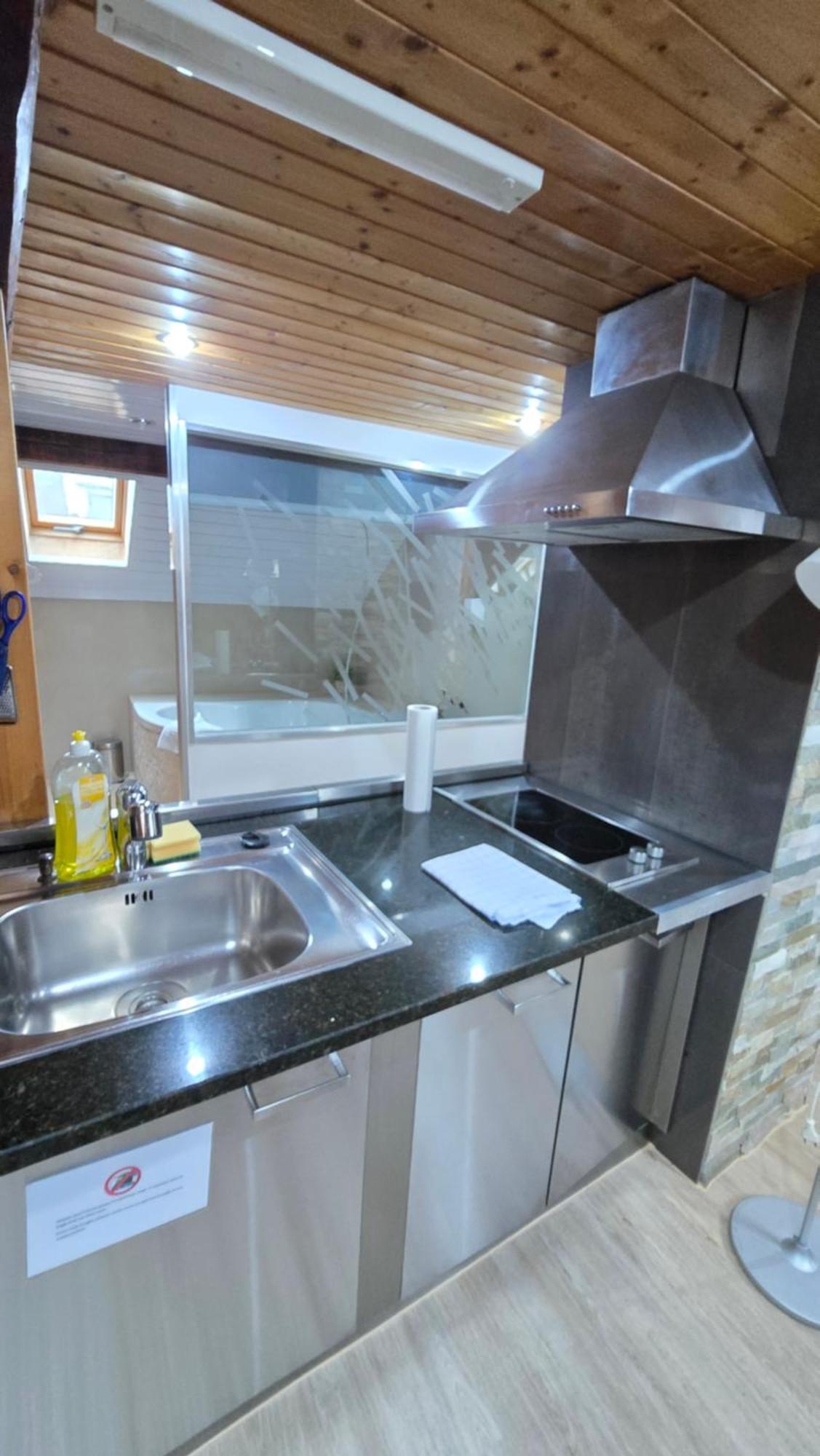 Attic Loft With Rooftop Terrace! Apartment