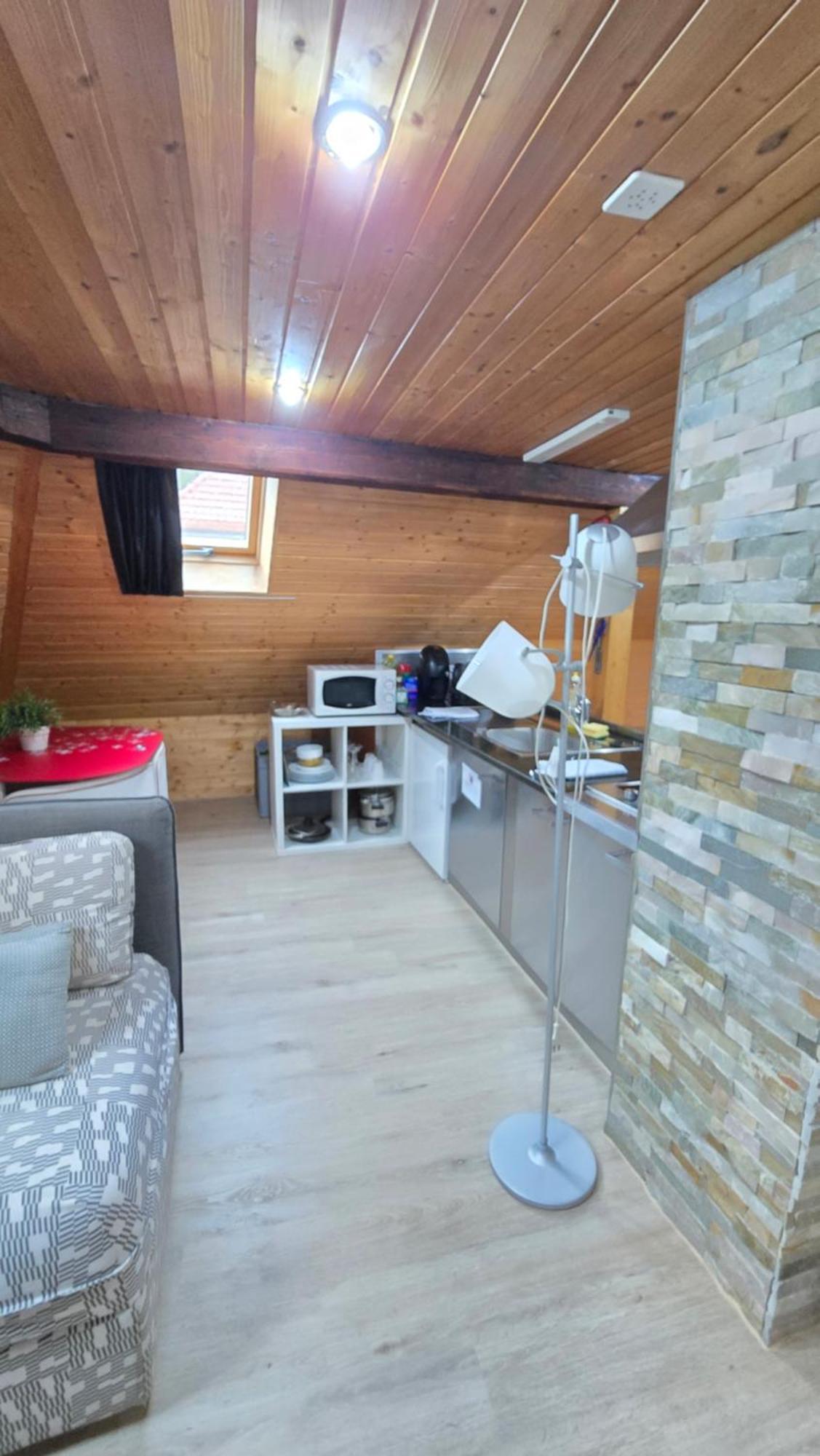 Apartment Attic Loft With Rooftop Terrace! Zurich