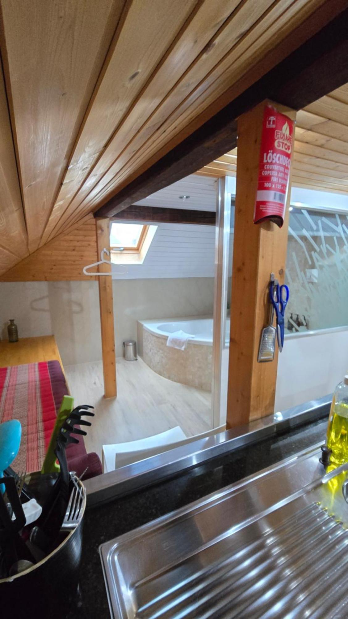 Attic Loft With Rooftop Terrace! Apartment *