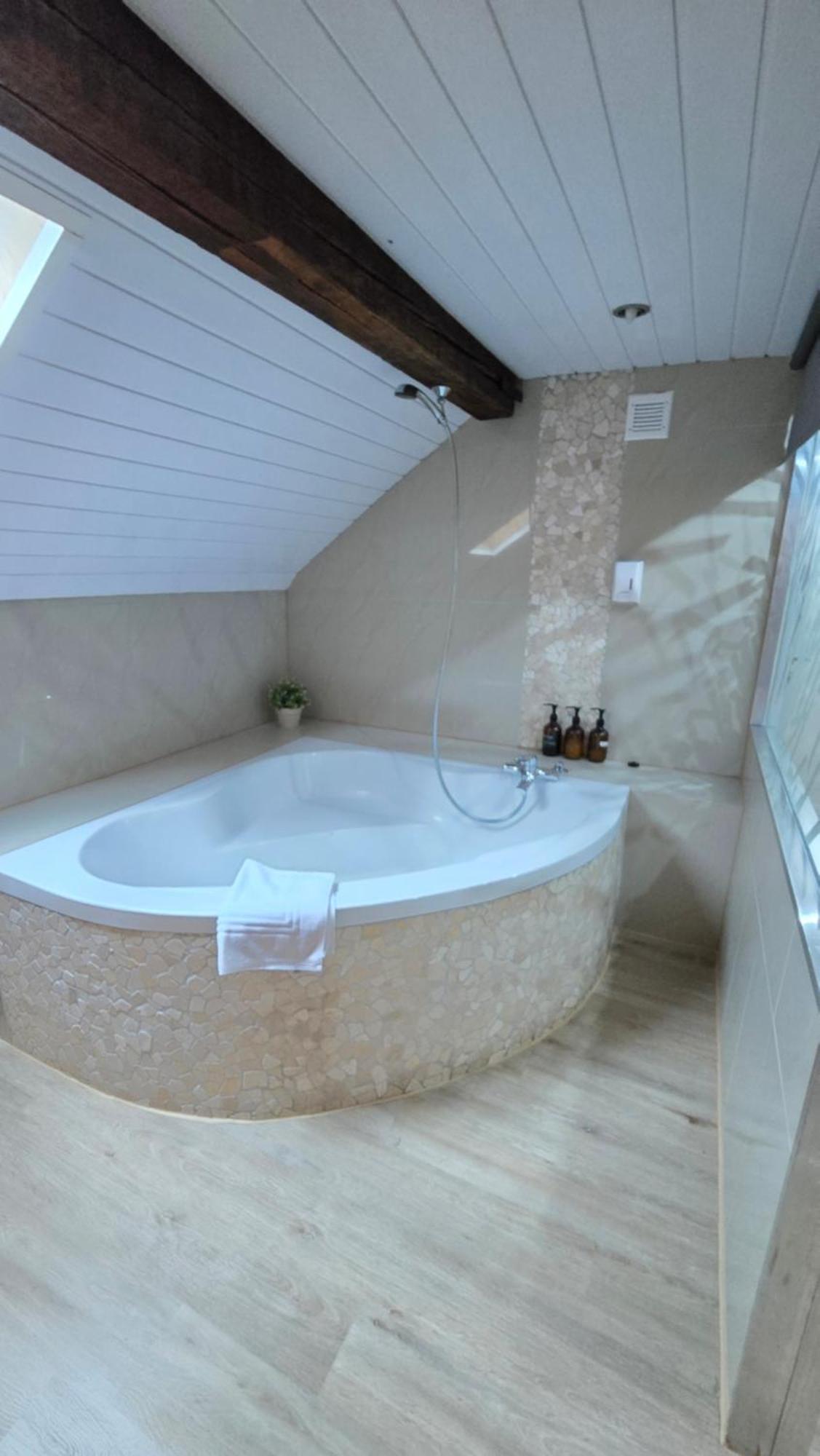 Attic Loft With Rooftop Terrace! Apartment