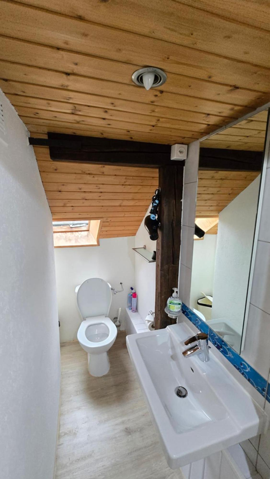 Attic Loft With Rooftop Terrace! *