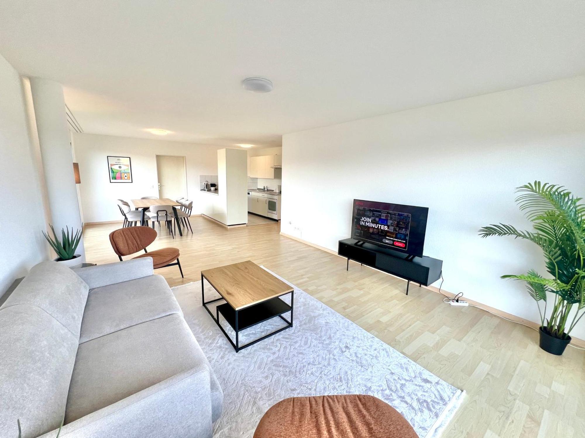 Wa - Penthouse 6 Pax * Zurich