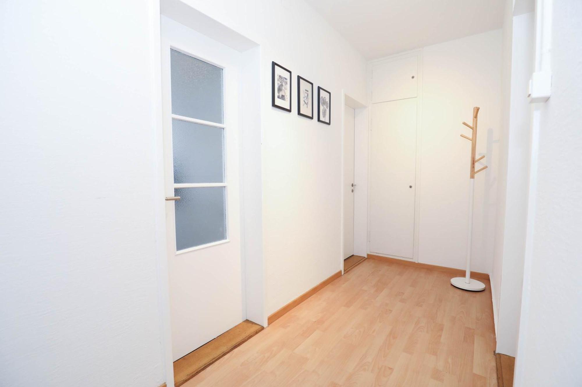 Airy Near Uetliberg Nature *