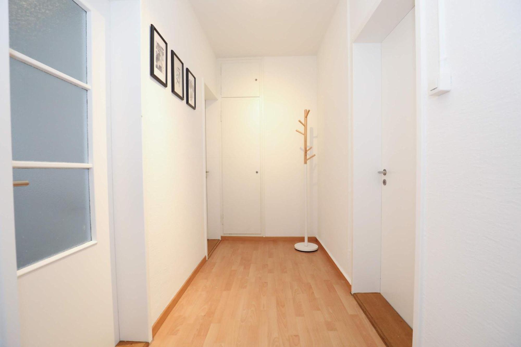 Airy Near Uetliberg Nature *