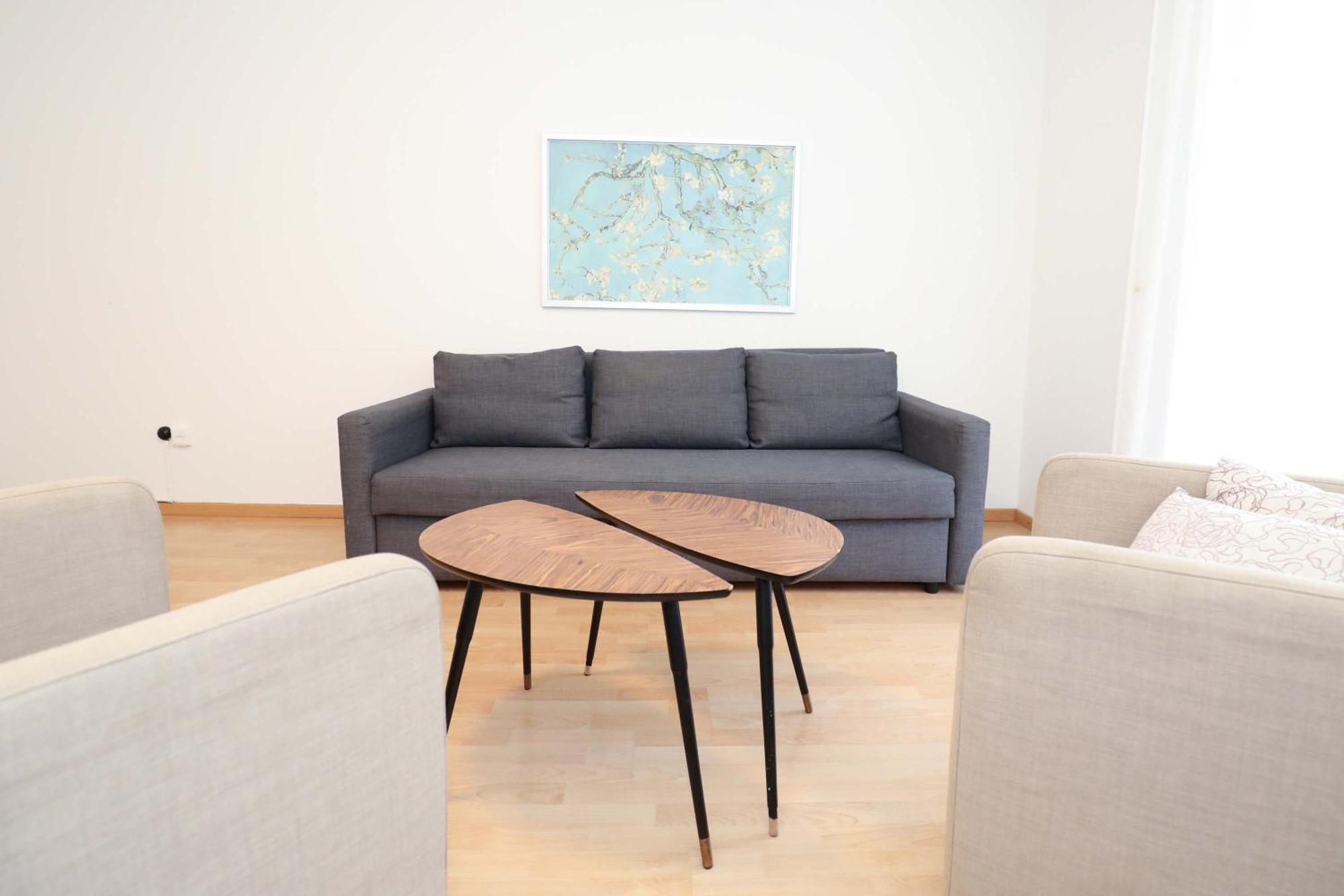 Airy Near Uetliberg Nature *