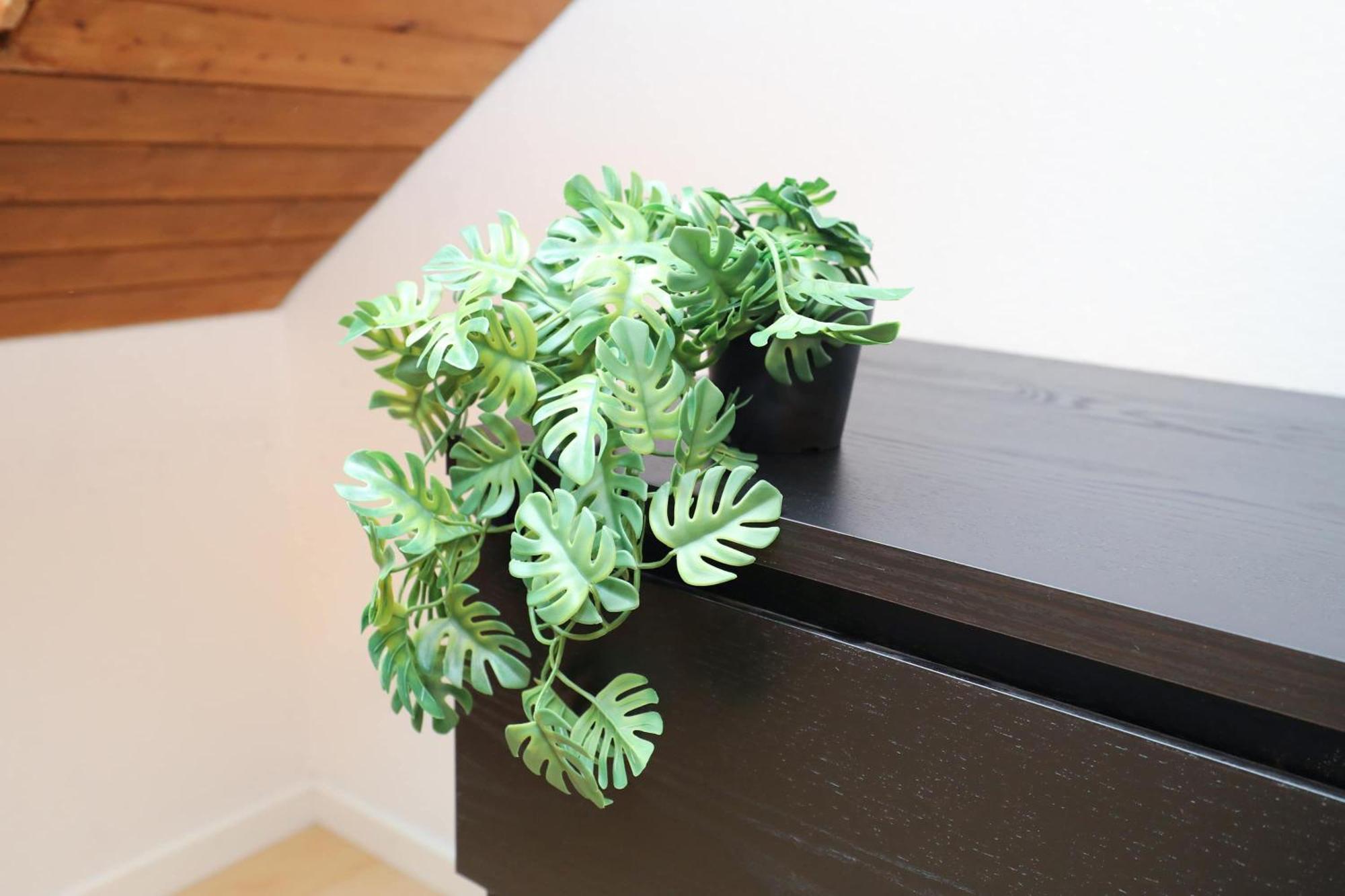 Apartment Minutes Walk From Google Hq View *