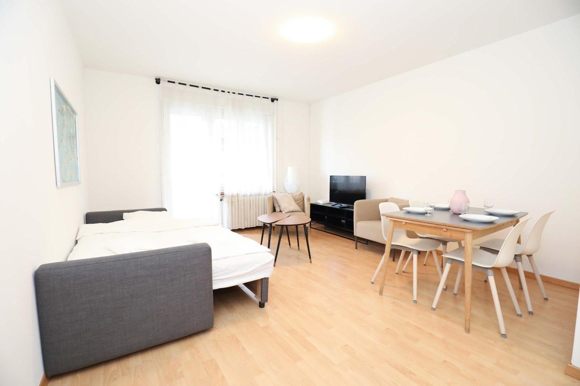 Airy Near Uetliberg Nature *