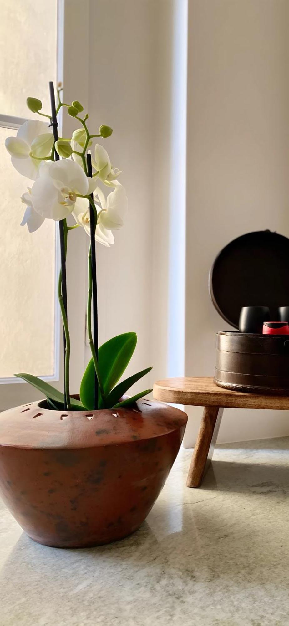 Goethe House In Old Town Apartment Zurich