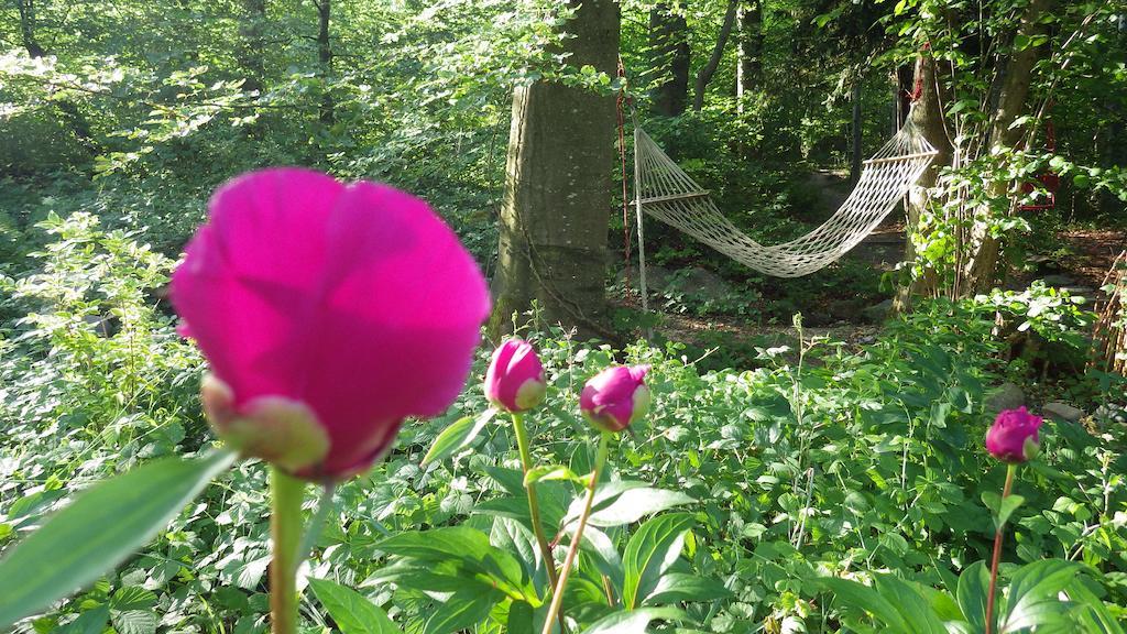 Guest house Im Sonnenbuhl *