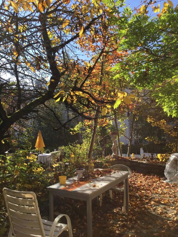 Garden Studio Zurichberg Zurique
