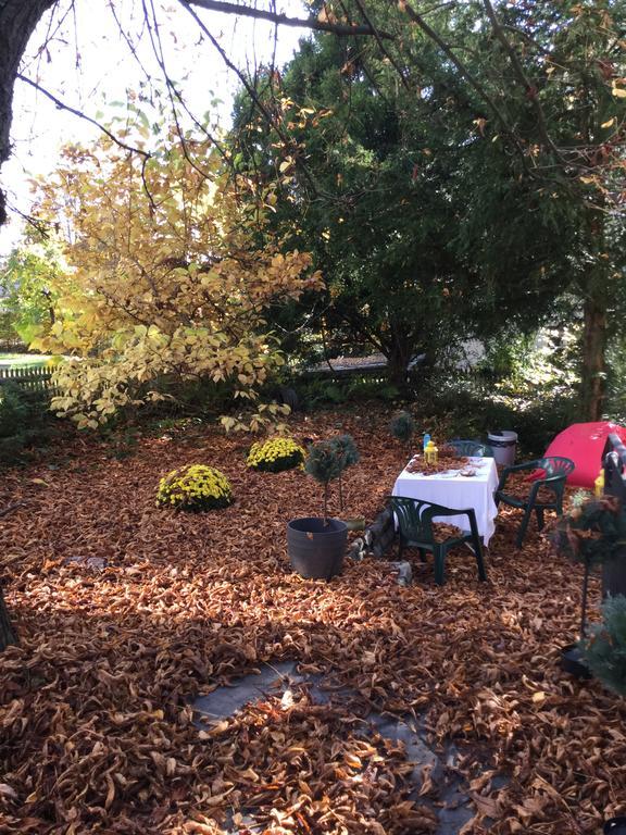 Garden Studio Zurichberg Apartment