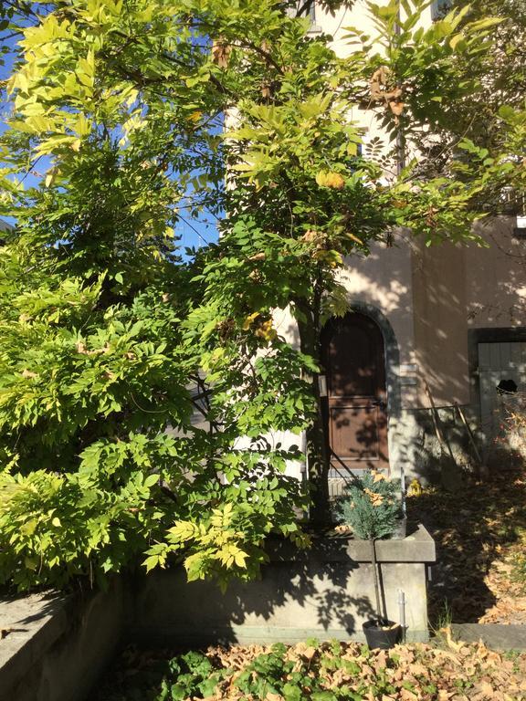 Garden Studio Zurichberg *