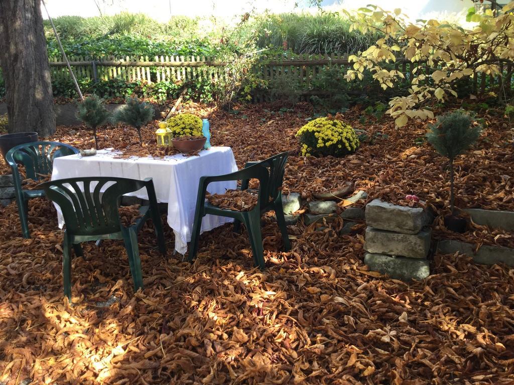 Garden Studio Zurichberg