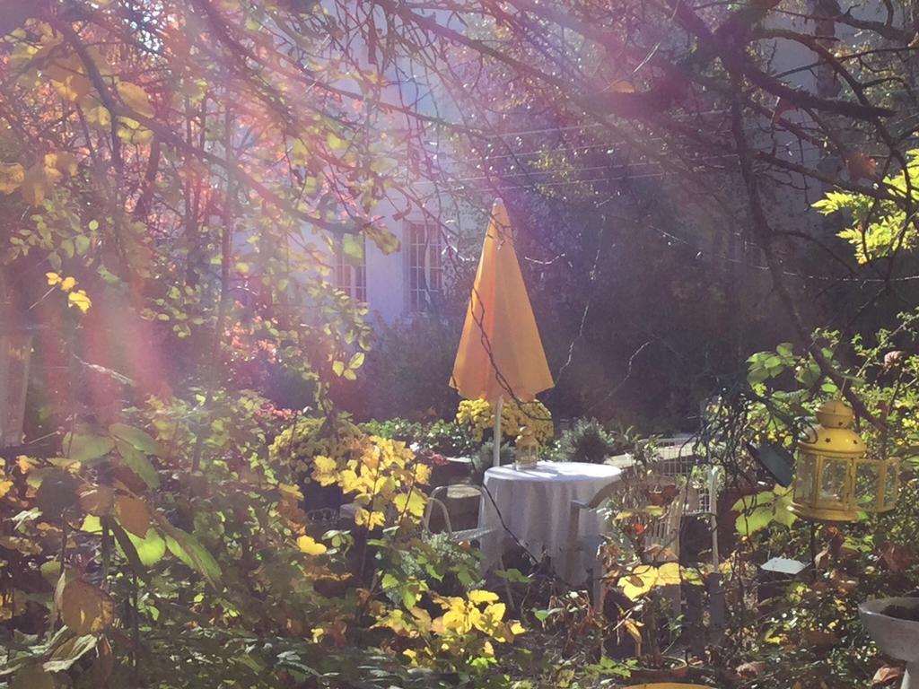 Garden Studio Zurichberg Apartment Zurich