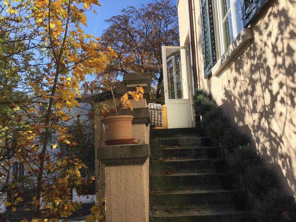 Garden Studio Zurichberg