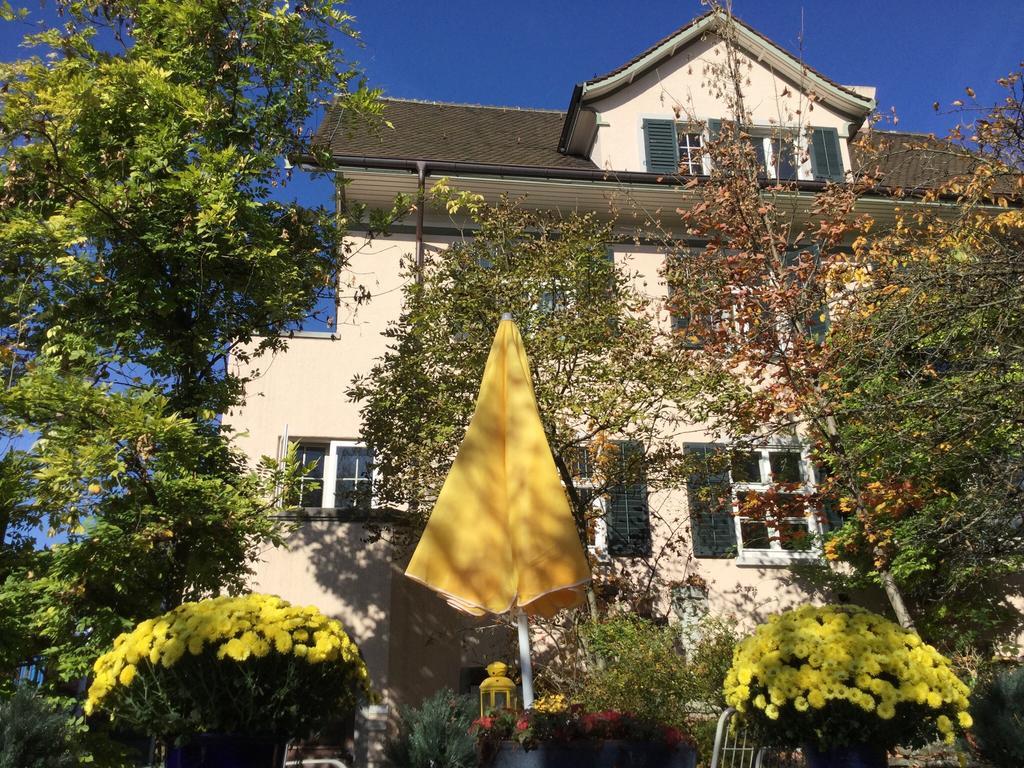 Garden Studio Zurichberg Apartment Zurich