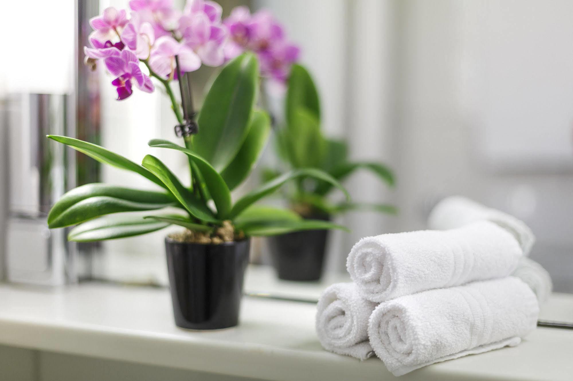 Hotel Coronado Zurich