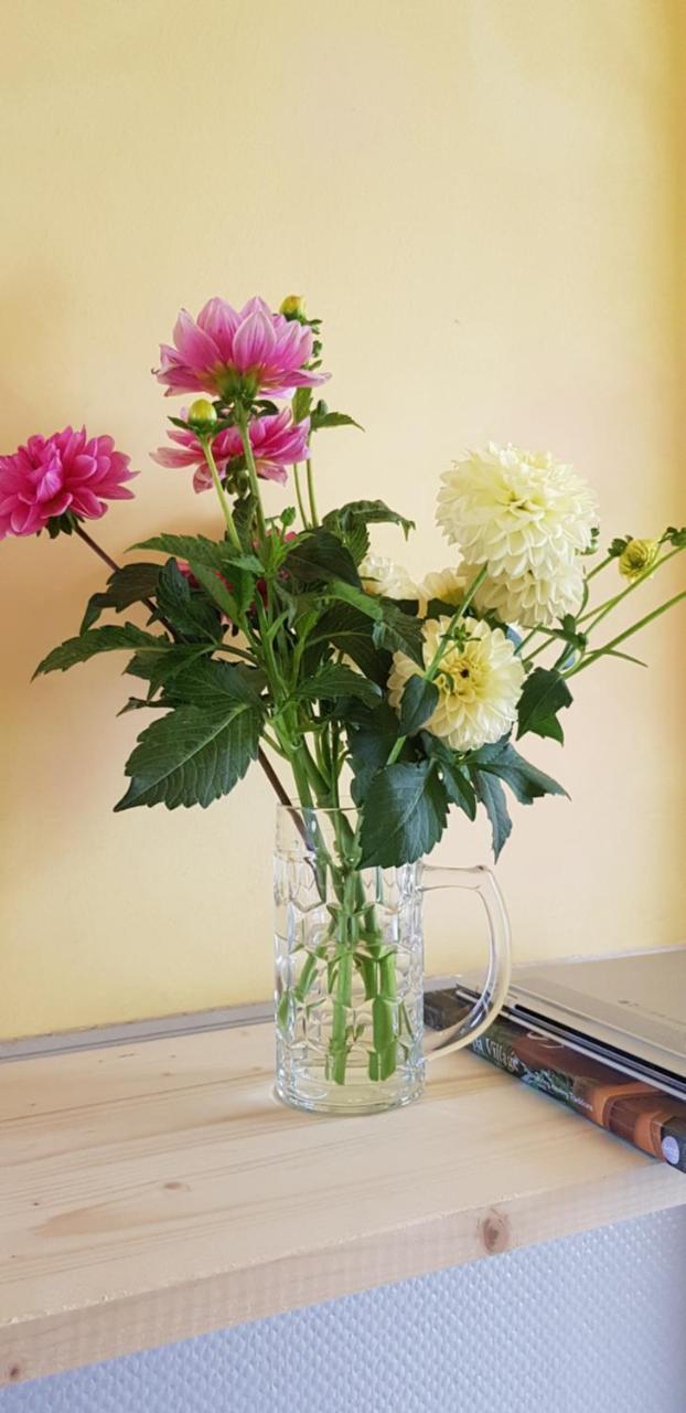 Hotel Homestay City Zurich